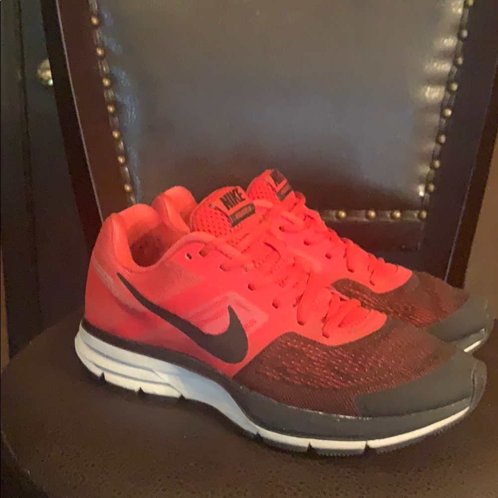 Nike Pegasus 30